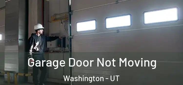  Garage Door Not Moving Washington - UT
