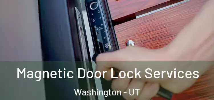 Magnetic Door Lock Services Washington - UT