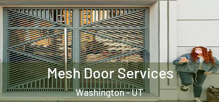 Mesh Door Services Washington - UT